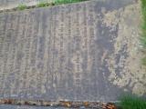 image of grave number 947303
